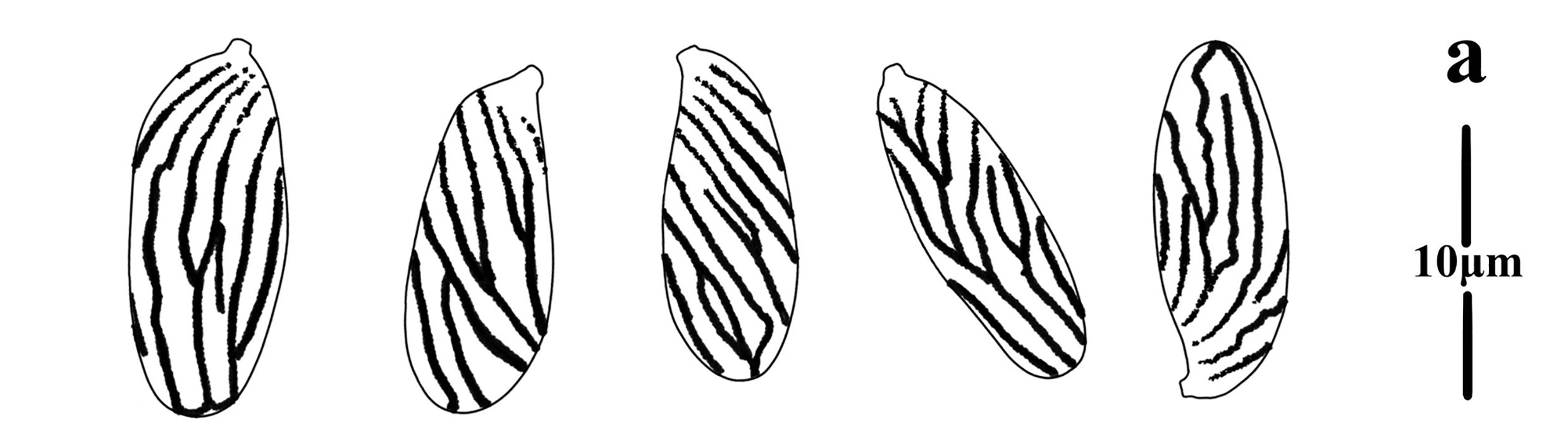 Figure 82